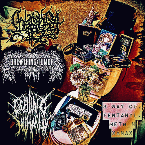 Defiling Humanity : 3 Way OD: Fentanyl, Meth N Xanax